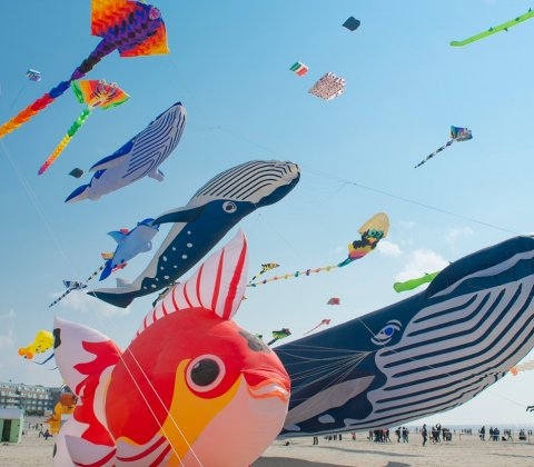 39es Rencontres internationales de Cerfs-Volants