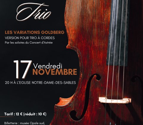 Bach en trio – Les Variations Goldberg