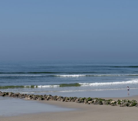 Surveillance des plages
