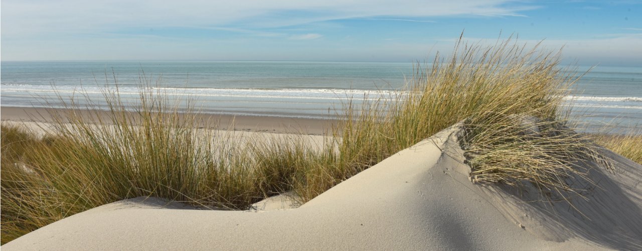 dunes-de-berck
